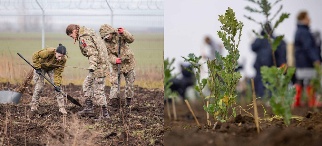Voluntarii de mediu au plantat 655.000 de puieţi forestieri în campania „Plantăm fapte bune în România”, în 2024