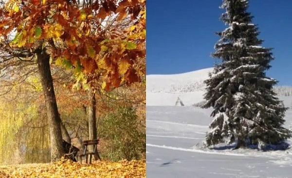 Vremea până în 4 decembrie: Condiții meteo de Ziua Națională și la început de iarnă 2022. Vremea în Banat