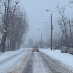 zapada Timisoara1
