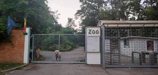 zoo timisoara 2