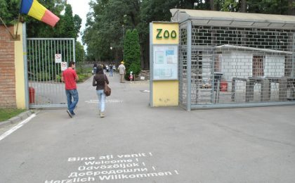 zoo timisoara