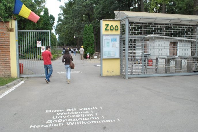 zoo timisoara